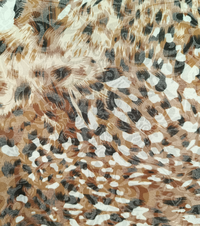 TSHIRT DONNA M/M P2231/25965 Tellini S.r.l. Ingrosso Abbigliamento